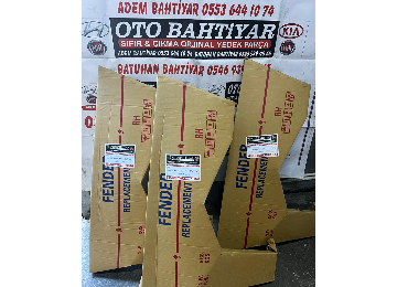 Accent Yumurta Kasa Sağ Ön Çamurluk